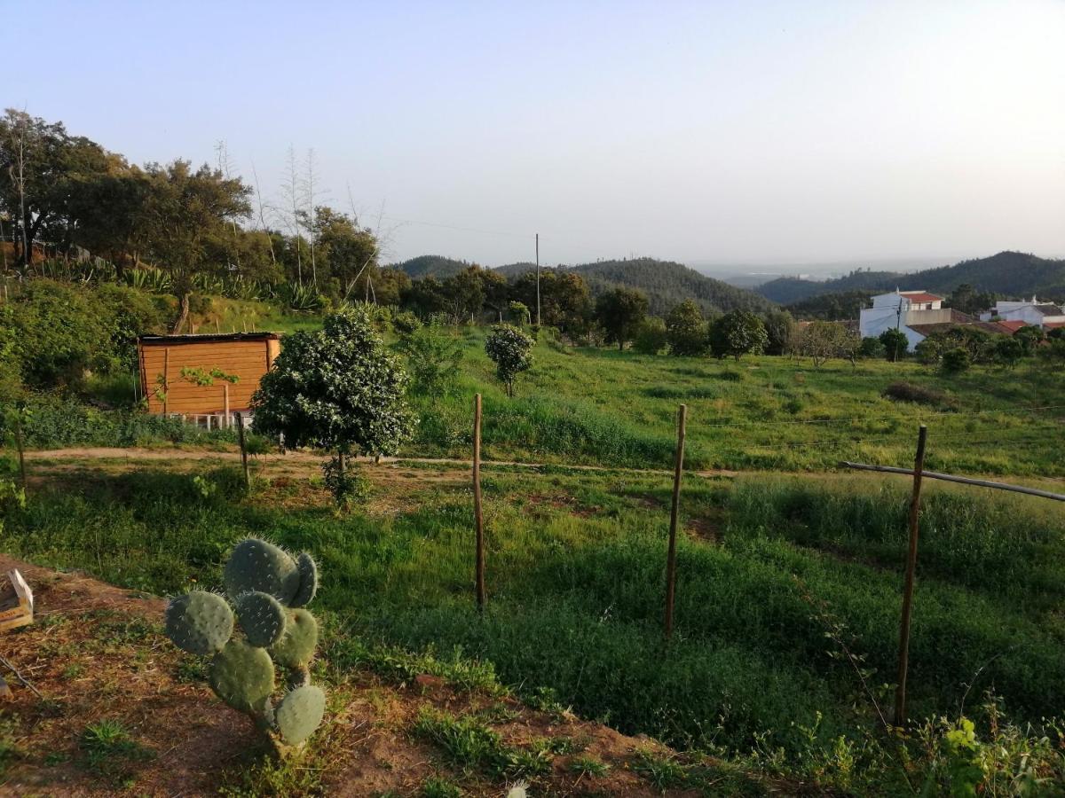 Vinha Do Gaio Villa Montes de Cima Kültér fotó