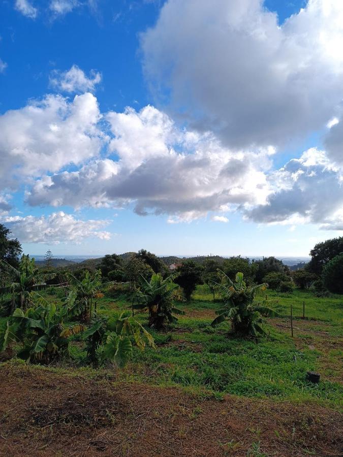 Vinha Do Gaio Villa Montes de Cima Kültér fotó